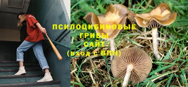соль курить ск Баксан