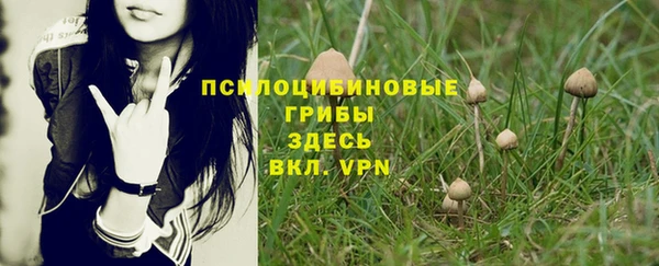 mdpv Балахна