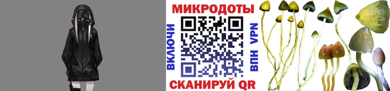 Галлюциногенные грибы GOLDEN TEACHER  Углегорск 